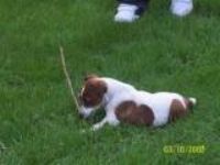 Juelz santana what the games been missing