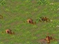 Handy spiele zum download