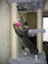 Rappelkiste dinslaken