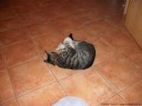 Casting berlin jungschauspieler