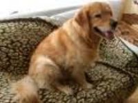 Site kostenlose kinder spiele